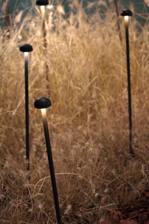 CHIODINO by Inverlight